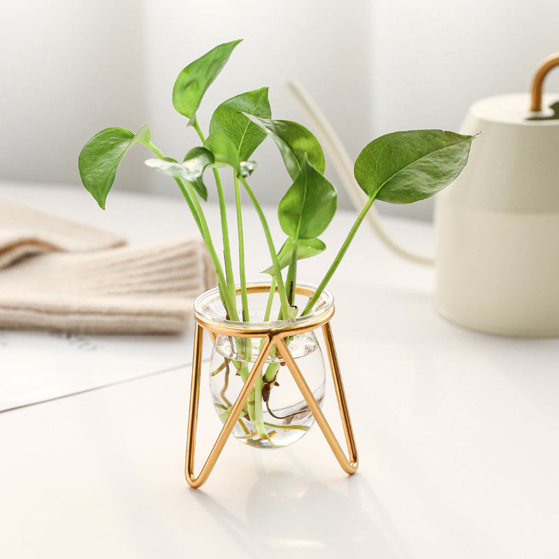 Elegant Metal Hydroponic Vase - Perfect for Any Room