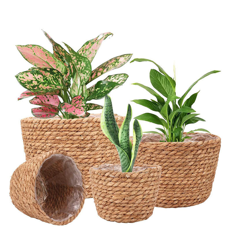 Storage Basket Plant Flower Pot Straw Seaweed Weaving Mechanism Amazon Size Plant Basket Interior Decorative Flower Pot