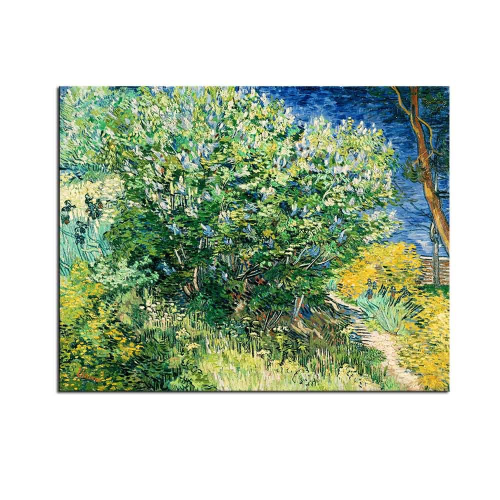 Silk Movie Poster - Customize Your Space with Art