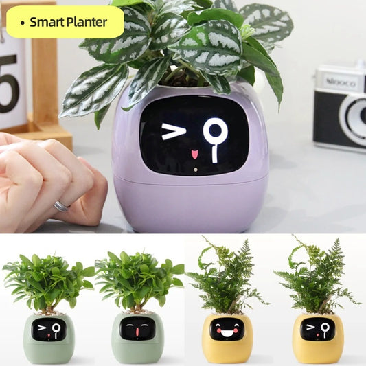 Smart Planter - Effortless Plant Care with AI Technology
