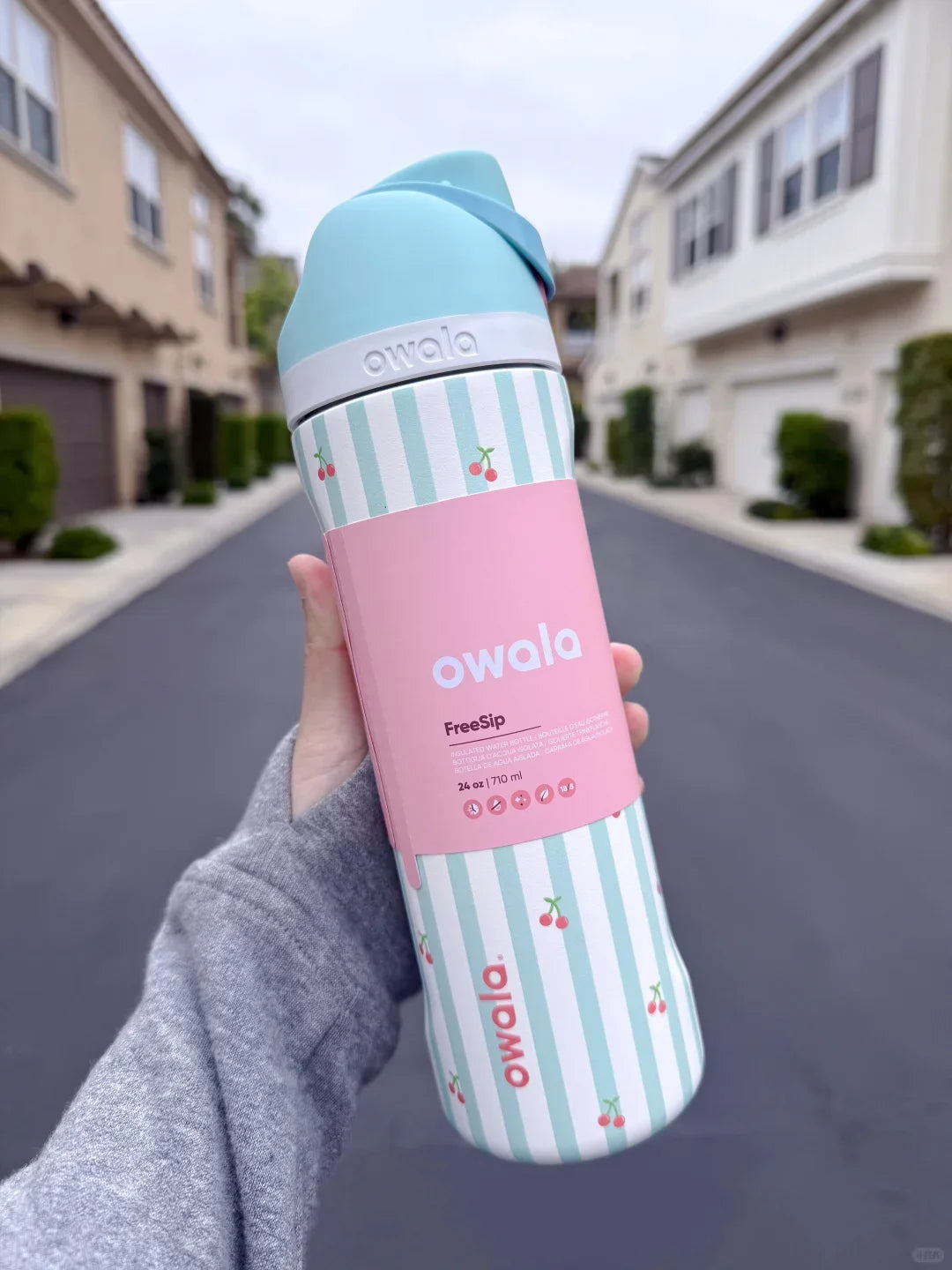 Insulated Stainless Steel Water Bottle - Travel Ready