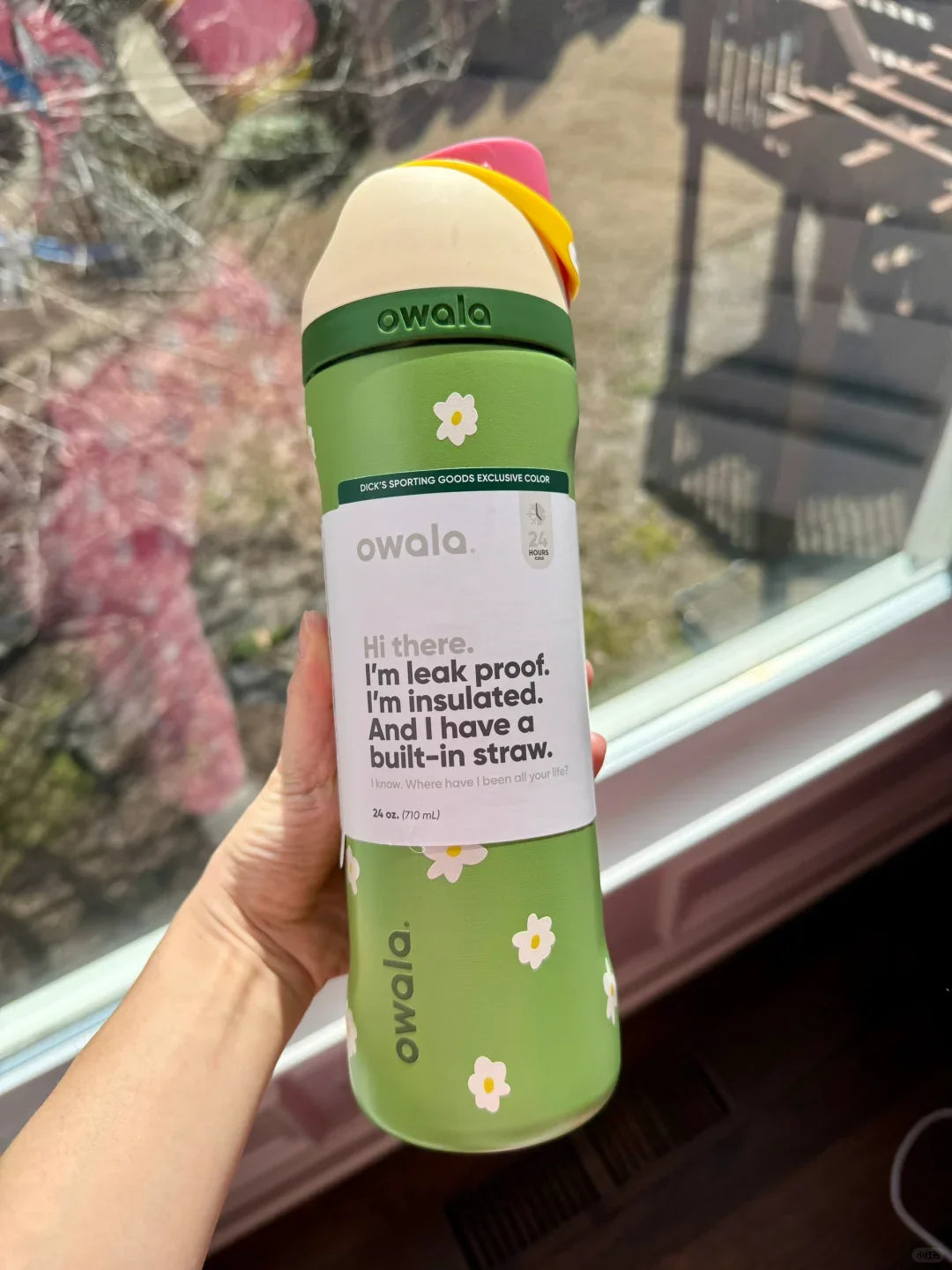 Insulated Stainless Steel Water Bottle - Travel Ready