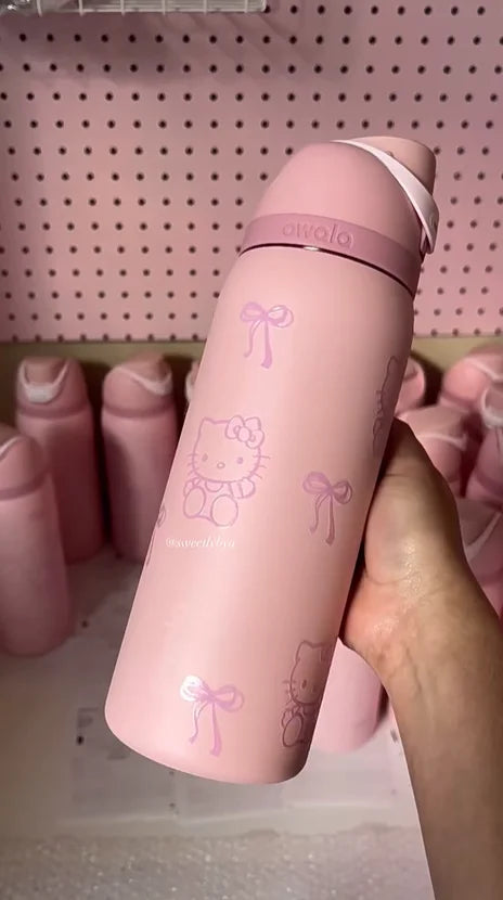 Insulated Stainless Steel Water Bottle - Travel Ready