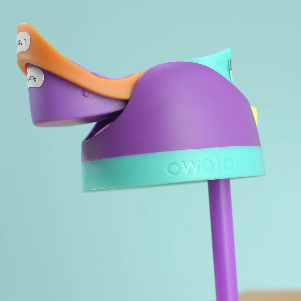 Insulated Stainless Steel Water Bottle - Travel Ready