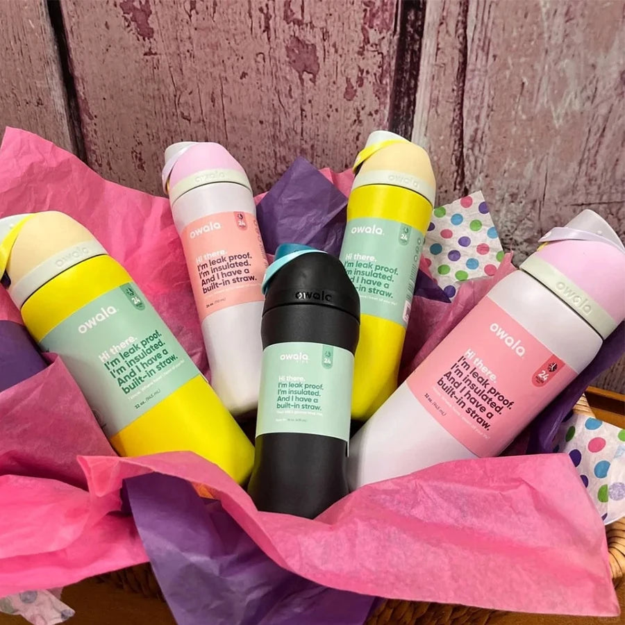 Insulated Stainless Steel Water Bottle - Travel Ready