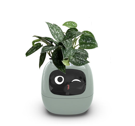 Smart Planter - Effortless Plant Care with AI Technology